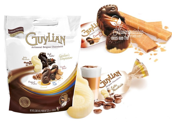 Kẹo Socola cao cấp Guylian Temptations Mix Pouch Pack 522g 