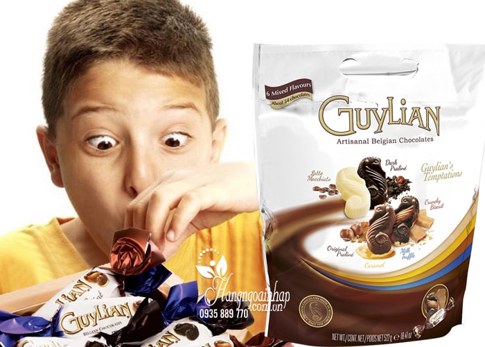 Kẹo Socola cao cấp Guylian Temptations Mix Pouch Pack 522g của Bỉ