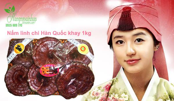 Nấm linh chi đỏ Geumsan của Hàn Quốc khay 1kg