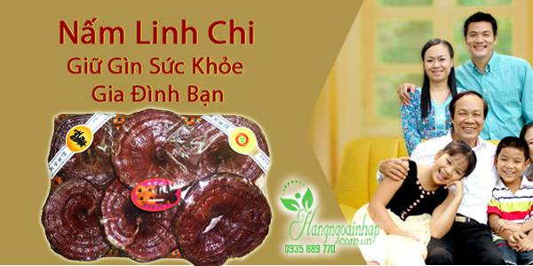 Nấm linh chi đỏ Geumsan của Hàn Quốc khay 1kg