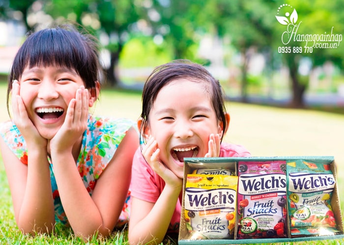 Set kẹo dẻo trái cây Welch’s Fruit Snacks 1kg của Mỹ