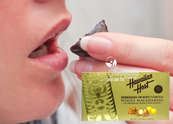 Socola Hawaiian Host Honey Coated nhân hạt Macca 15 viên của Mỹ