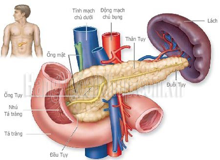 bệnh tiểu đường