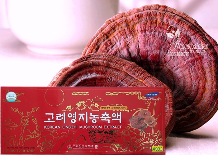 Cao linh chi đỏ Hàn Quốc Korean Lingzhi Mushroom Extract, hộp 5 lọ