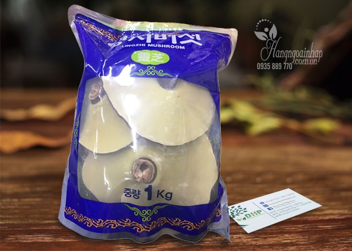 Nấm linh chi túi xanh Hàn Quốc Lingzhi Mushroom 1kg 