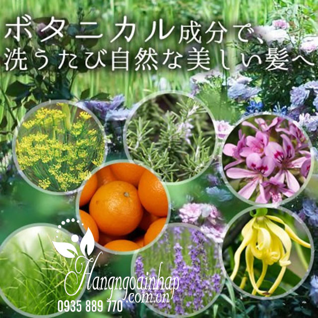 Bộ dầu gội xả thực vật Botanits Satori Botanical 480ml của Nhật 12