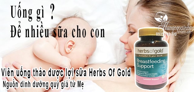 Viên uống lợi sữa Herbs Of Gold Breastfeeding Support của Úc công dụng