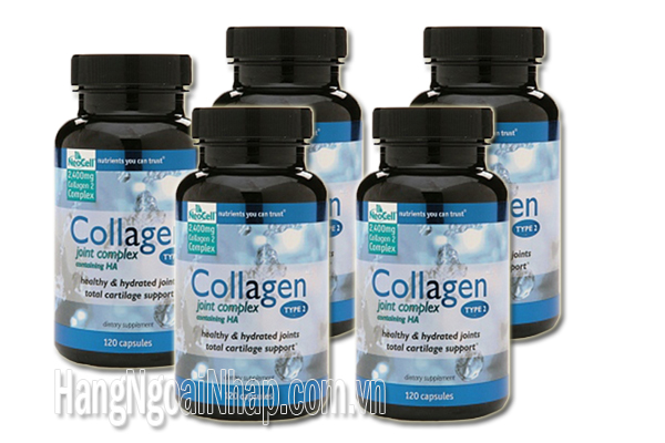 bệnh sụn khớp - collagen tuýp 2 không biến tính