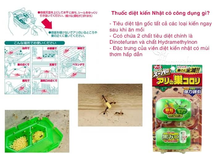 Thuốc diệt kiến Nhật có công dụng gì