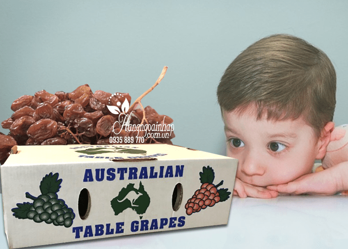 Nho khô nguyên cành Table Grapes thùng 4kg chất lượng cao