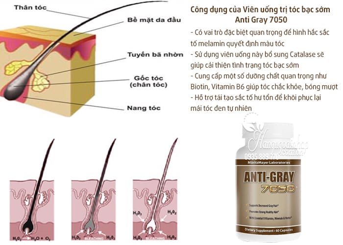 Viên uống trị tóc bạc sớm Anti Gray 7050 hộp 60 viên từ Mỹ