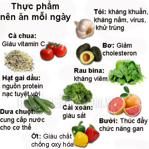 Phòng Bệnh Bằng Các Loại Thực Phẩm Hàng Ngày