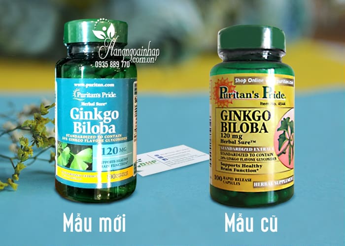 Viên uống Ginkgo Biloba 120mg Puritan's Pride 100 Viên của mỹ 1