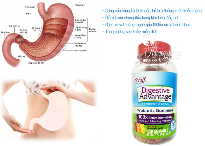 Kẹo dẻo hỗ trợ tiêu hóa Schiff Digestive Advantage Probiotic 2