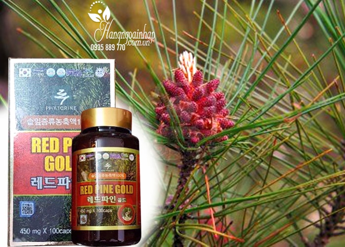 Tinh dầu thông đỏ Red Pine Gold 450mg hộp 100 viên của Hàn Quốc 