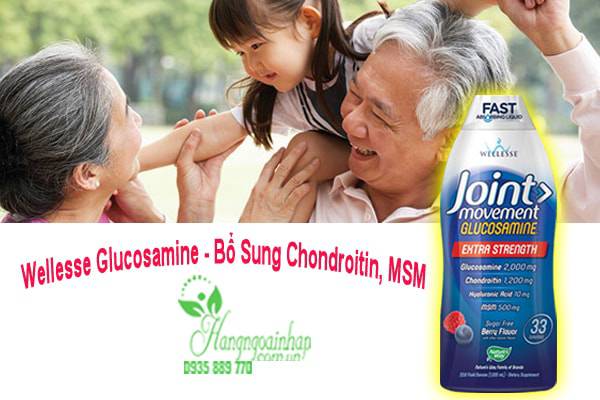 glucosamine-wellesse-bo-sung-chondroitin-msm-collagen-chai-1-lit