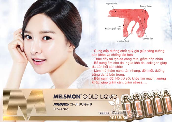 Nước uống nhau thai ngựa Melsmon Gold Liquid Nhật Bản 2