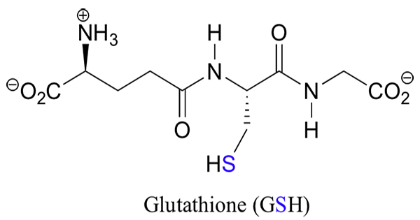 Glutathione Reduced là gì